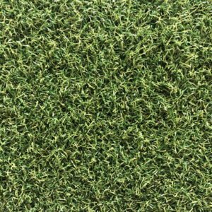 Konstgräs Prograss Approach+