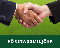 Konstgräsprodukter för företag