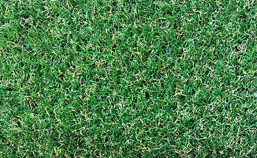 Beställ varuprov Sungrass C20
