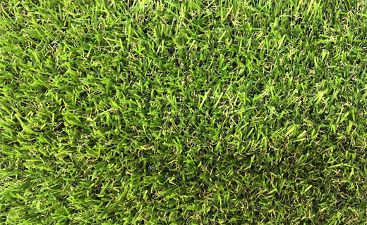Beställ varuprov Sungrass 18