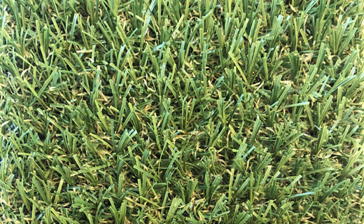 Beställ varuprov Sungrass 2019b