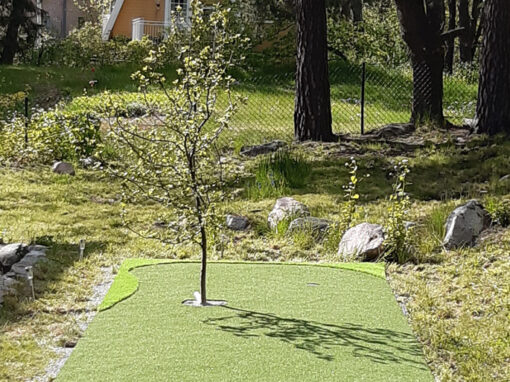 Puttinggreen i trädgård i Danderyd